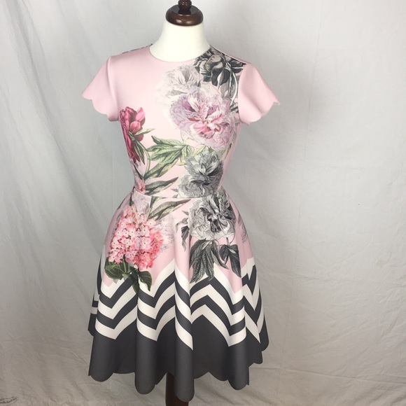 ted baker haiilie dress